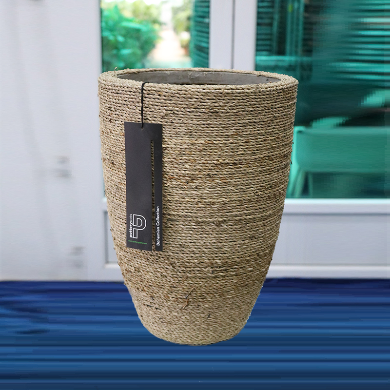 BOHEMIAN BEN XL STRAW GRASS