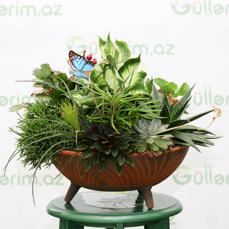 Dekorativ kompozisiya 1