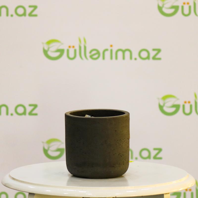 Saxsı dibçək (Boz rəng)