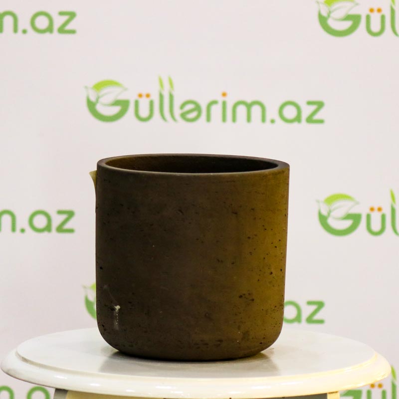 Saxsı dibçək (Boz rəng)