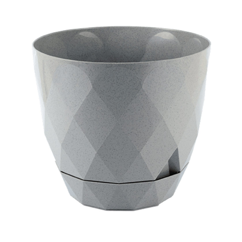 Karasu Yakamoz dibçək (grey)