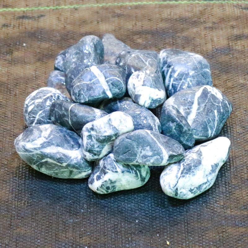 Black Angel (4-6 sm)