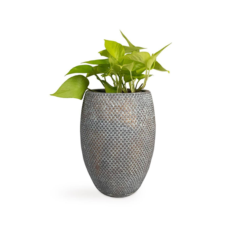 Fay Bitki Vazası - Mavi Qızıl