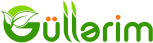 Gullerim