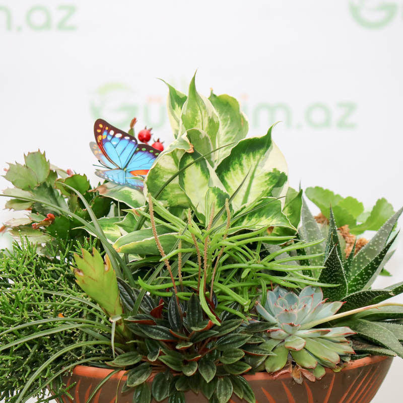 Dekorativ kompozisiya 1