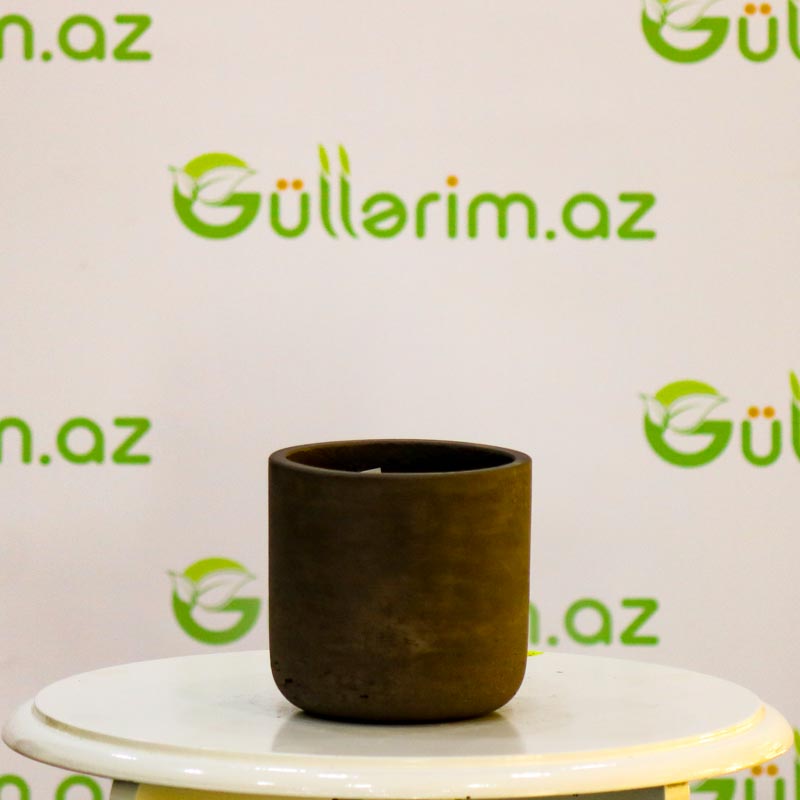 Saxsı dibçək (Qəhvəyi rəng)